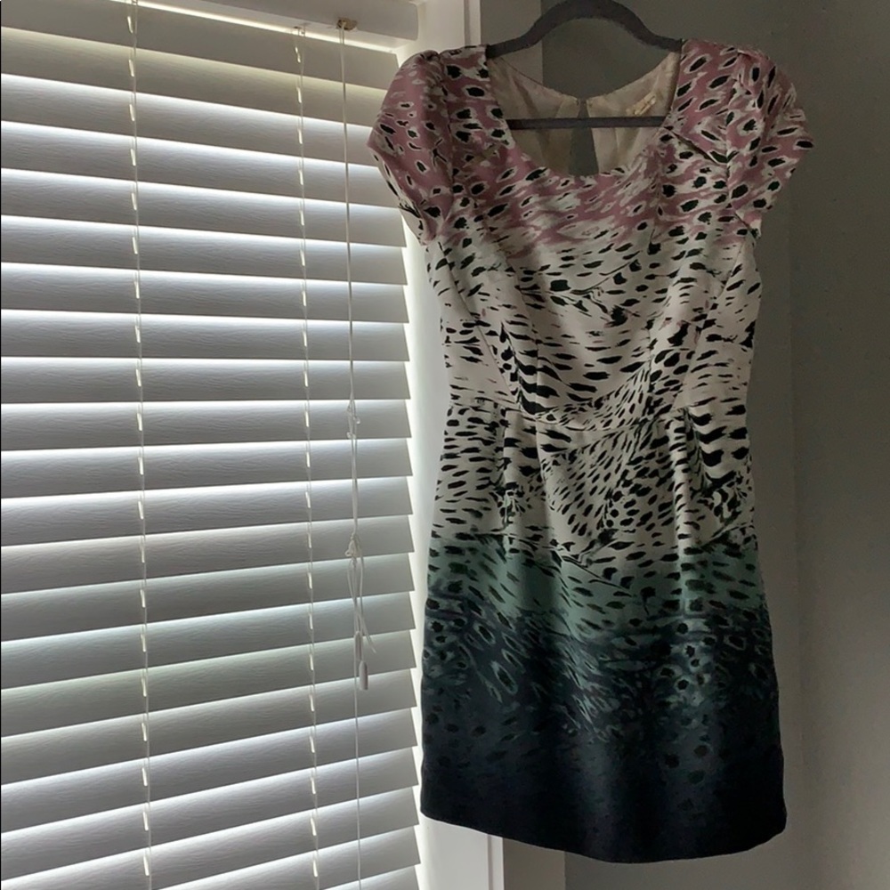Mini Printed Dress